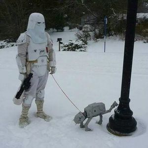 Meet your Posher, Ross